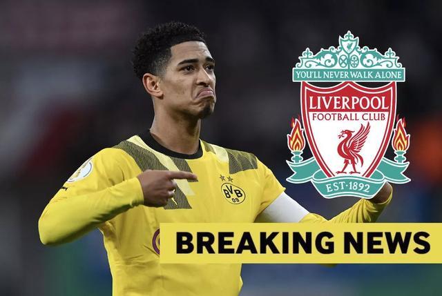 情绪共鸣 情绪共鸣